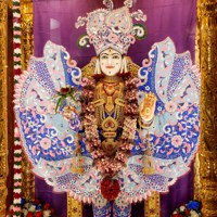 Daily Darshan